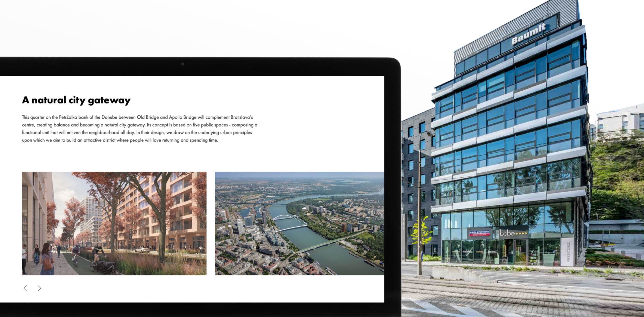 Custom Web Portal & Infrastructure for Real Estate Developer