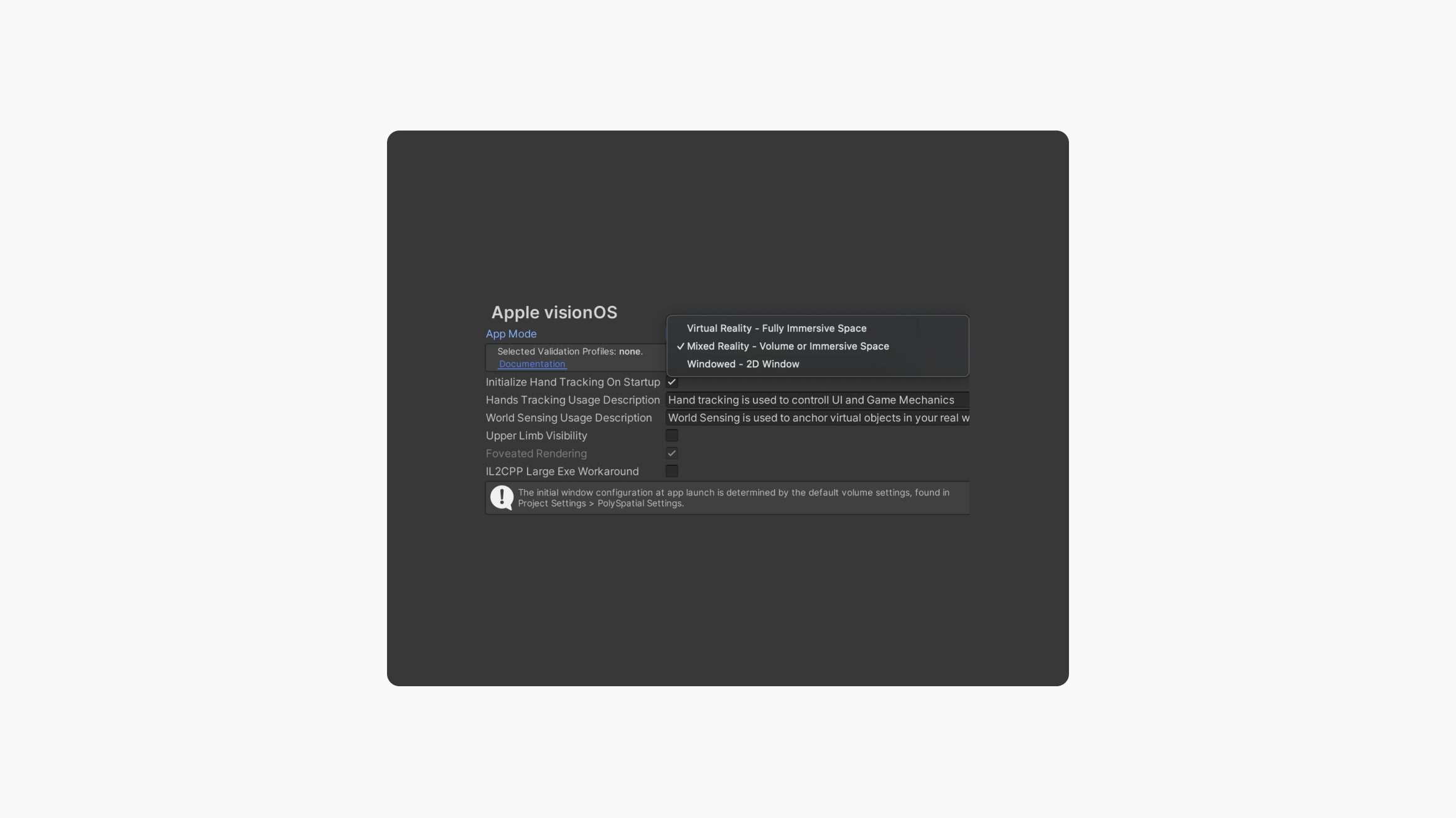Apple VisionOS Space