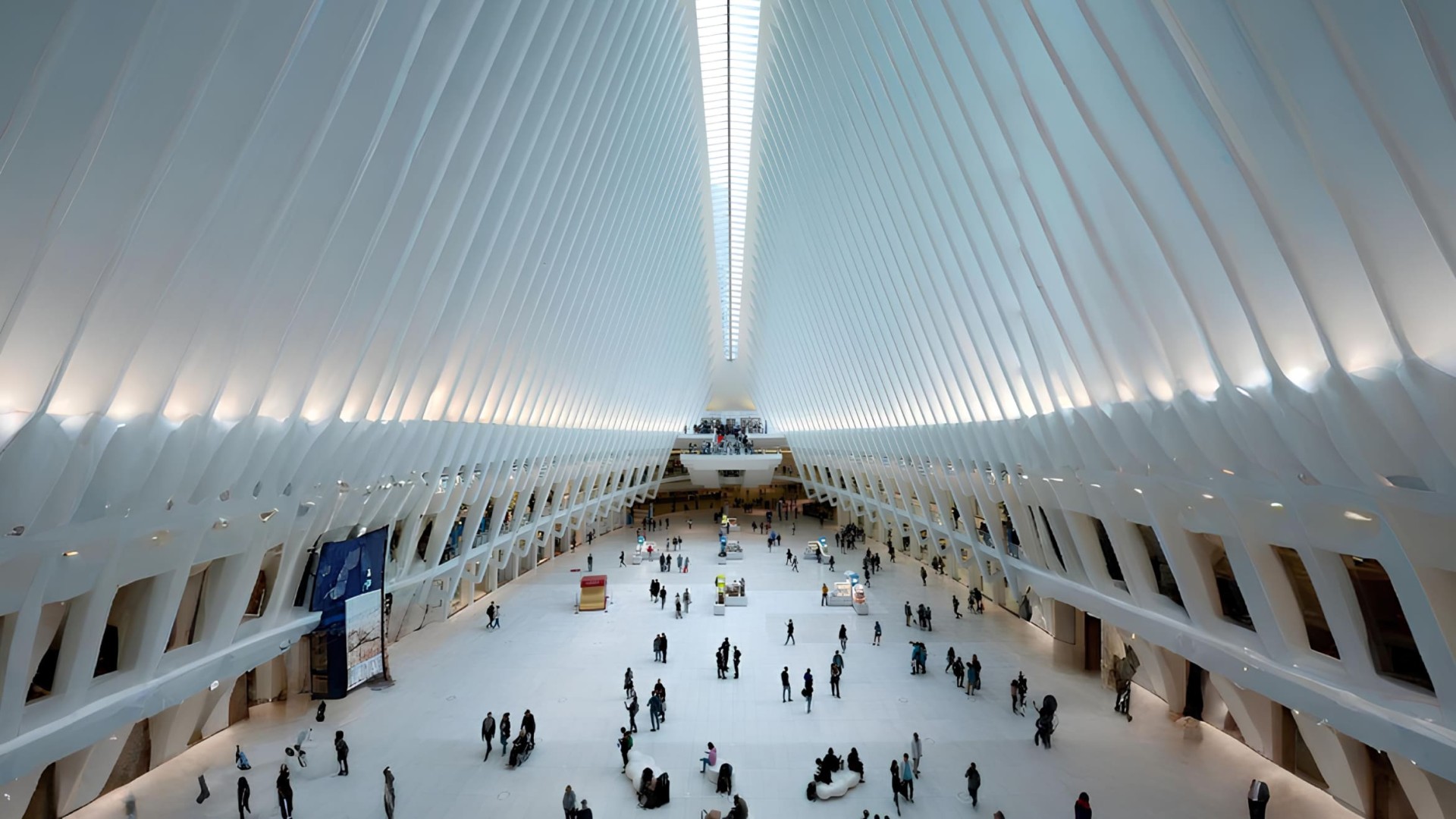 Capture Incoming People and Vehicles Using Raspberry Pi and LIDAR