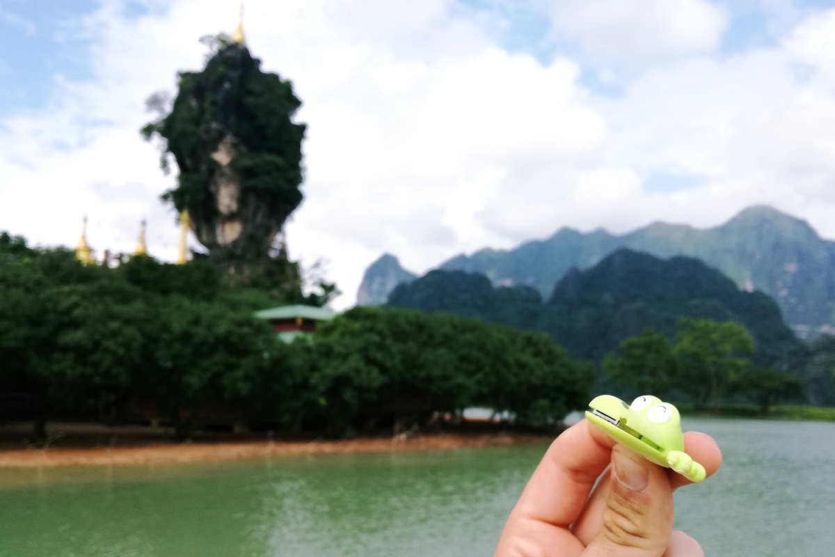 krokodíl Dandy Hpa-an