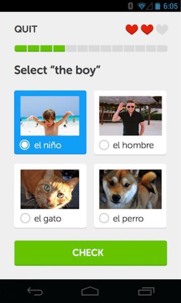 duolingo2